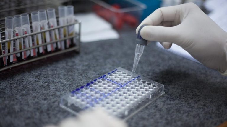 WhatsApp_20Image_202023-06-10_20at_2018.23